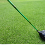 Phantom bamboo peak Genchiku Hou/GREEN